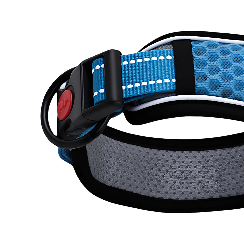 Pet Adjustable Collar