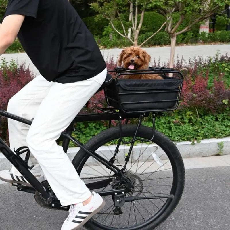 2-in-1 Dog Bike Basket for Rear Rack Portable Pet Carrier Cargo Basket Fits Most Bikes for Small Medium Dogs