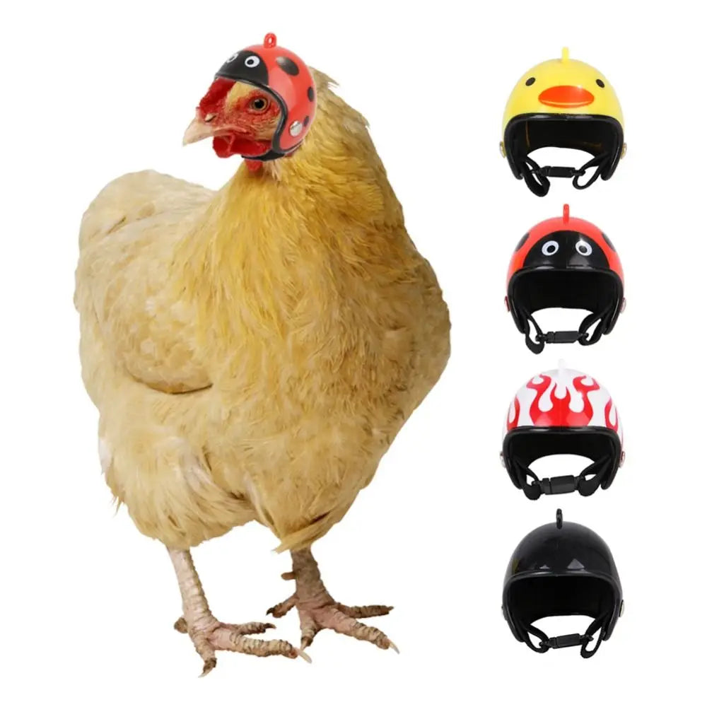 Pet Protective Headgear
