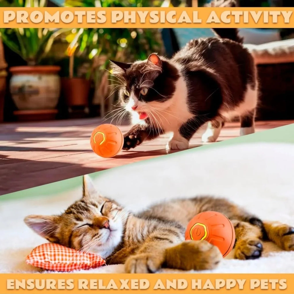 Pet toys Gravity Electric Amusement Pet Ball Smart Bouncing Ball
