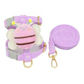 Bag For Dogs Leash Supplies