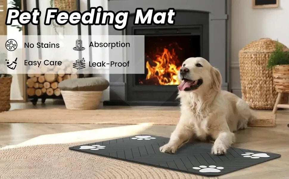 Non-Slip Absorbent Pet Mat