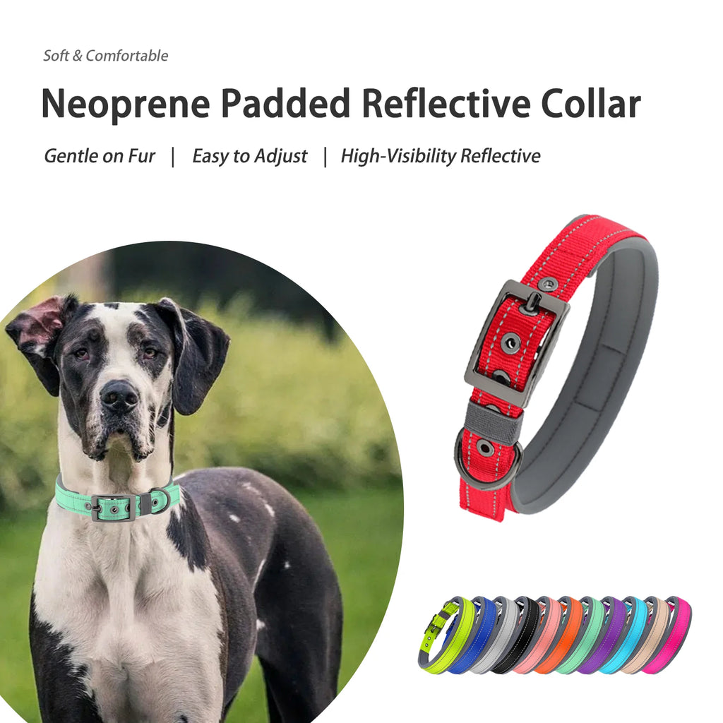 Large Dogs Collar