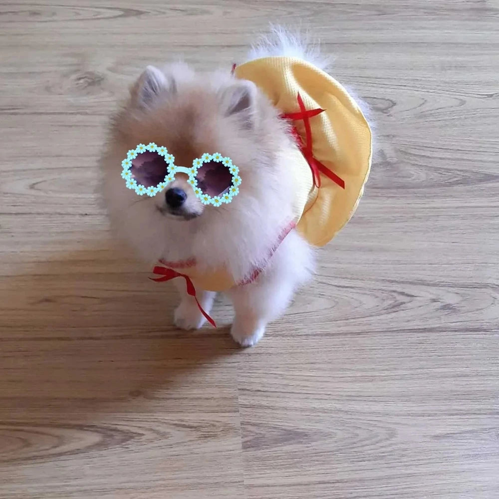 Flower Sunglasses Circular