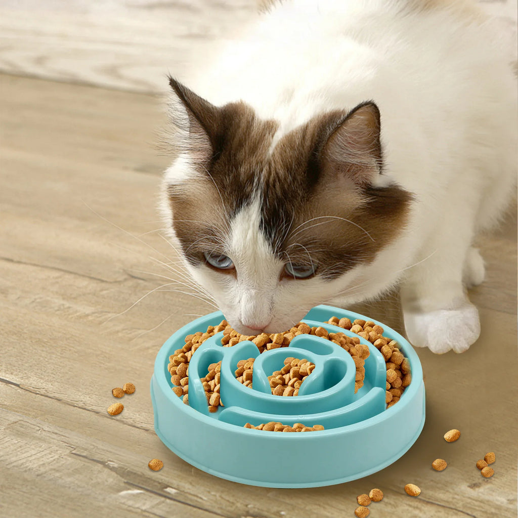 Pet Slow Food Bowl - Non slip and Durable