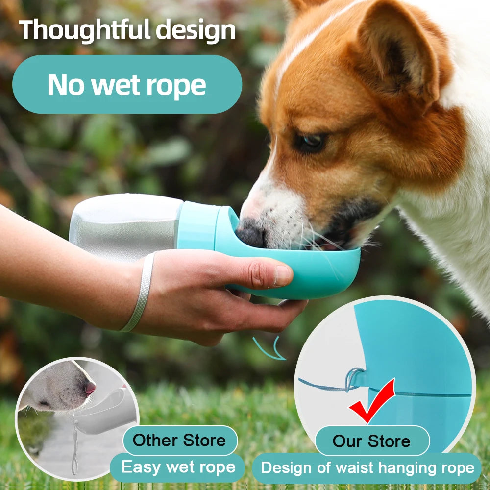 300ml Water Bottle