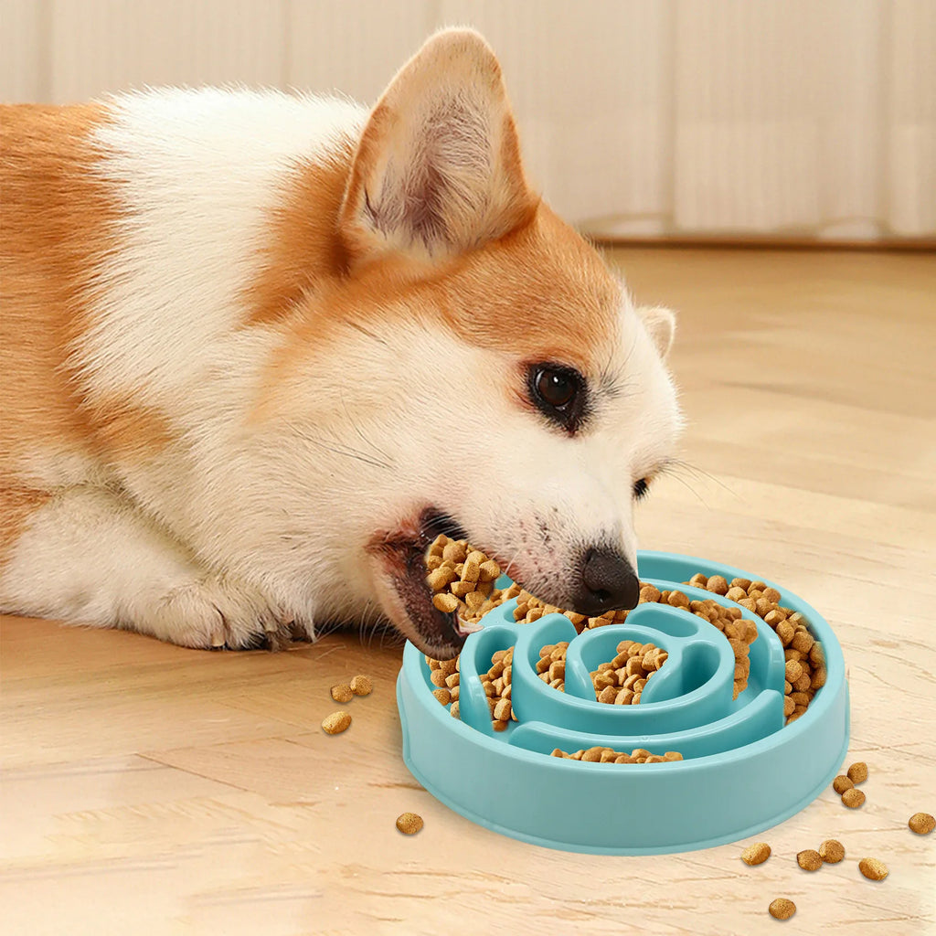 Pet Slow Food Bowl - Non slip and Durable