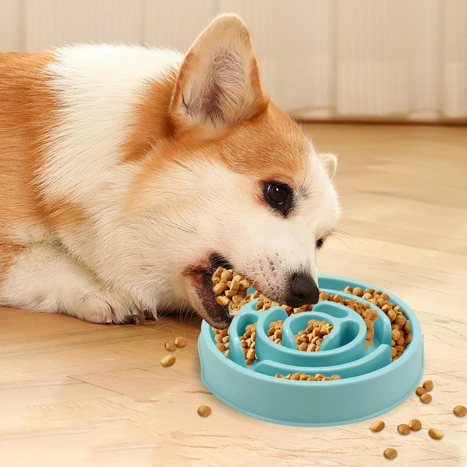 Pet Slow Food Bowl - Non slip and Durable