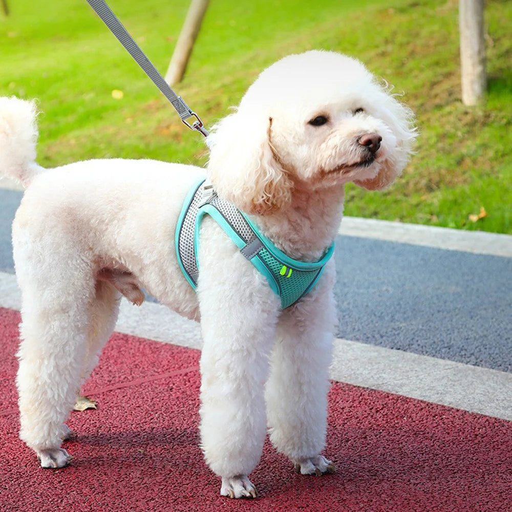 Cats and Dogs Reflective Harness Vest