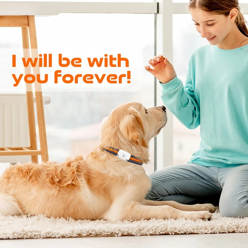 GPS Pet Tracker with Colorful LED Flash 4G Smart/Pet Collar IP67 Waterproof Pedometer/Pet Calorie Health Data Tracker