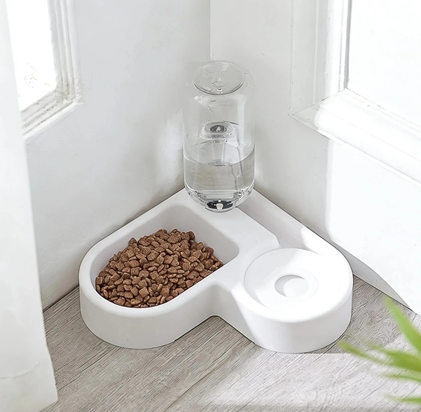 Pet Feeding Bowl Set