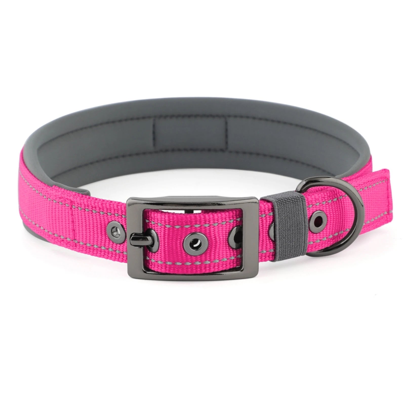 Large Dogs Collar