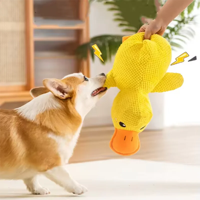 Yellow duck toy