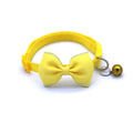 Pet Collars