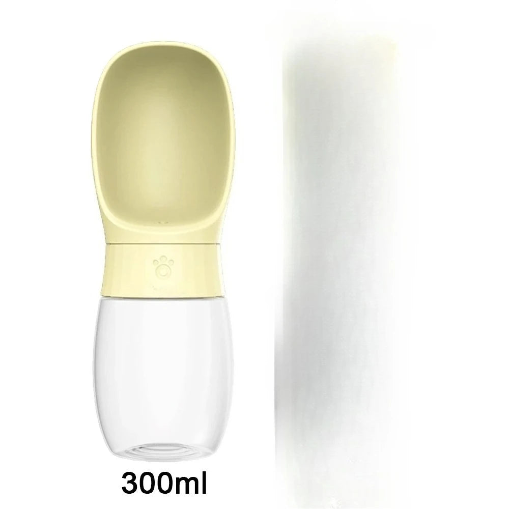 300ml Water Bottle
