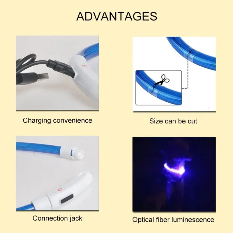 Pet Dog LED Collar