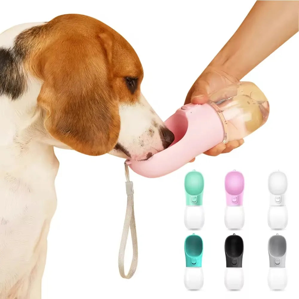 300ml Water Bottle