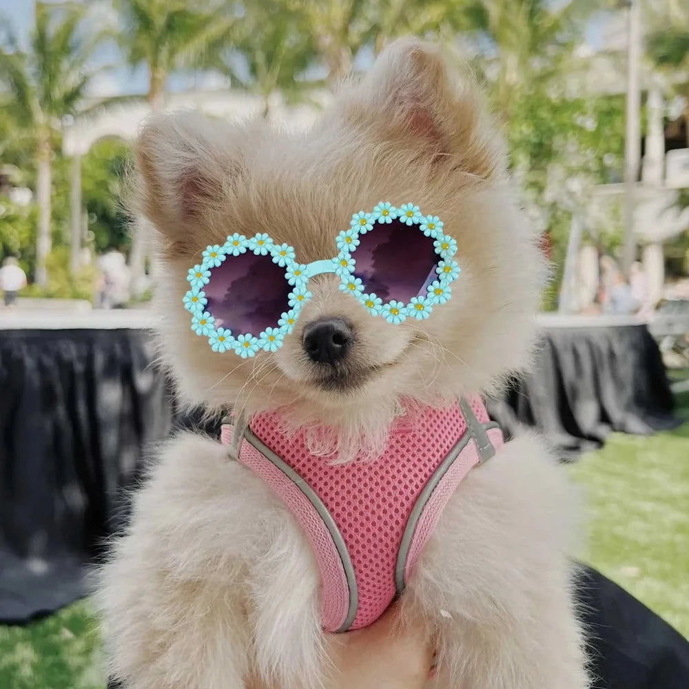Flower Sunglasses Circular
