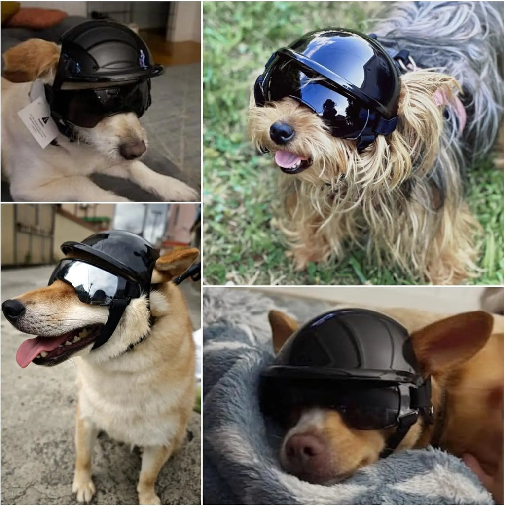Safety Helmet For Small and Medium-sized Dogs