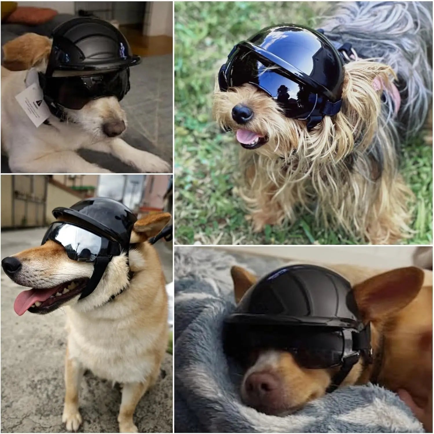 Safety Helmet For Small and Medium-sized Dogs