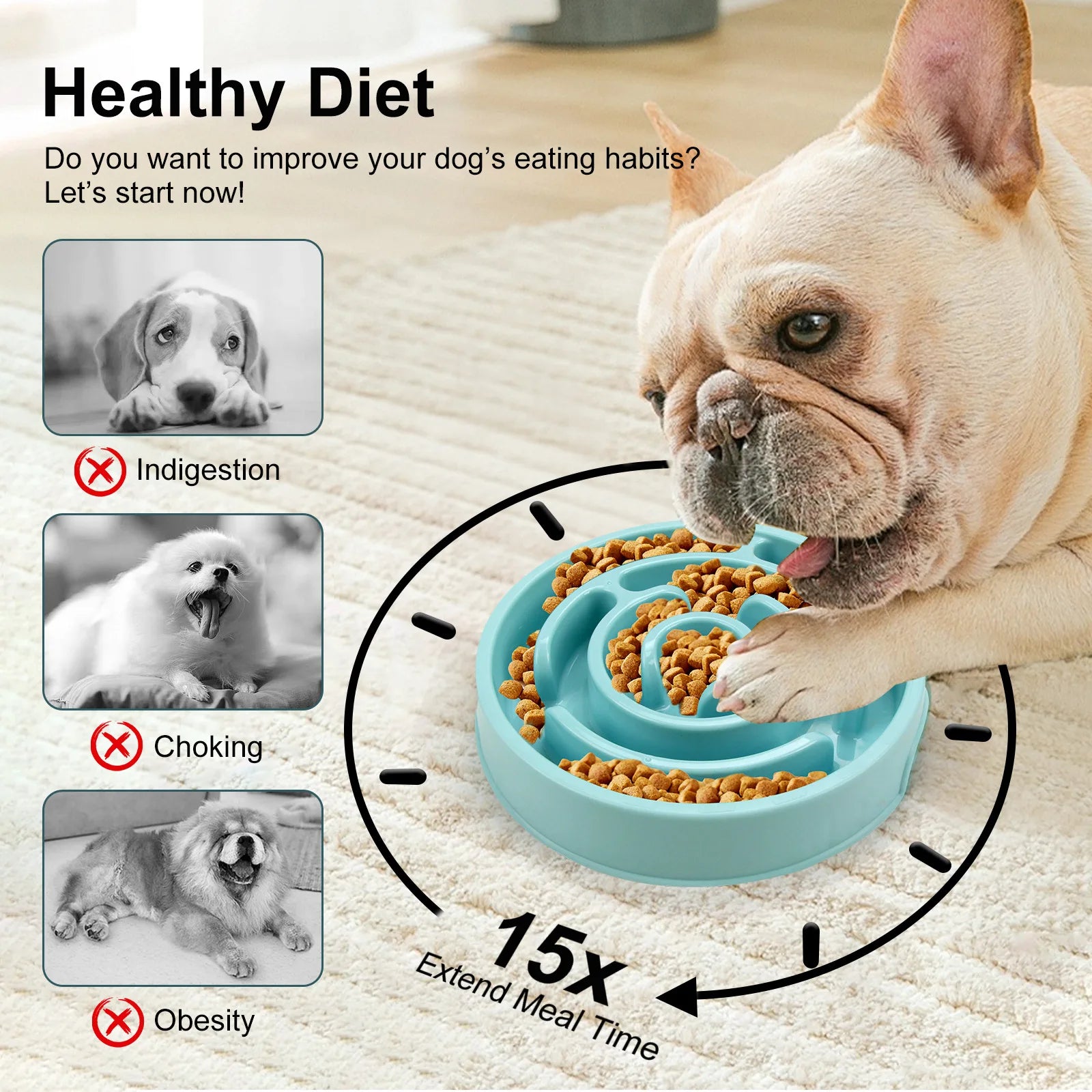 Pet Slow Food Bowl - Non slip and Durable