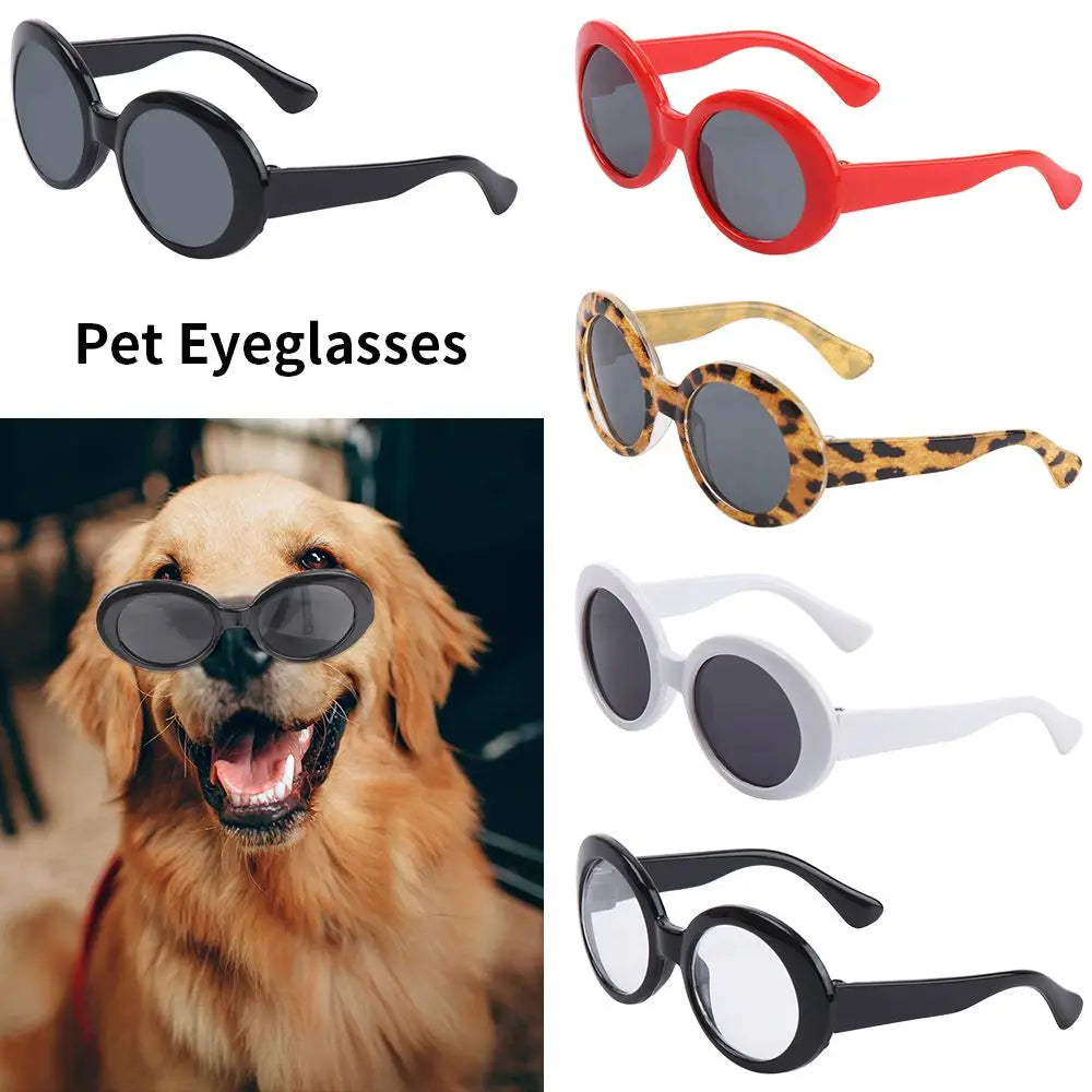 Fashioning Cat Round Glasses