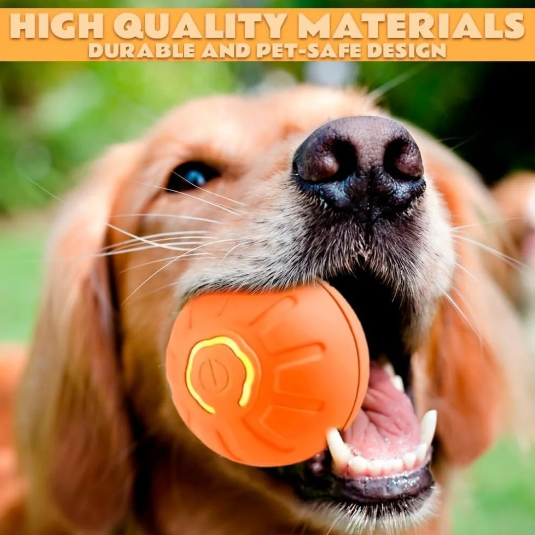 Pet toys Gravity Electric Amusement Pet Ball Smart Bouncing Ball