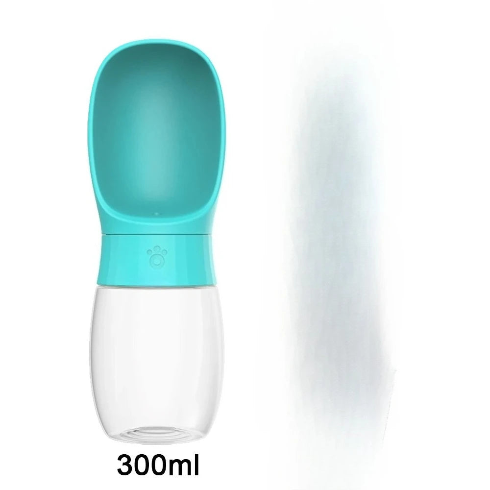 300ml Water Bottle