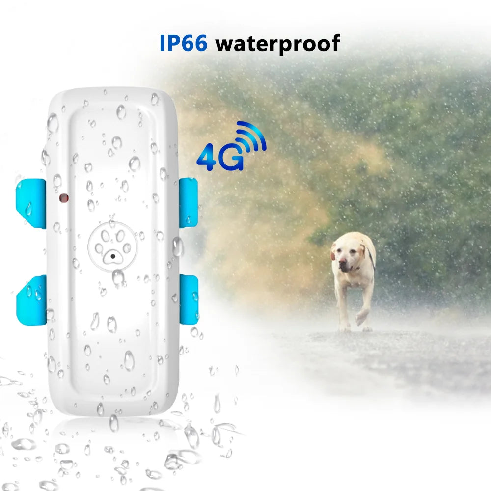 4G Pet GPS Tracker TK911Pro