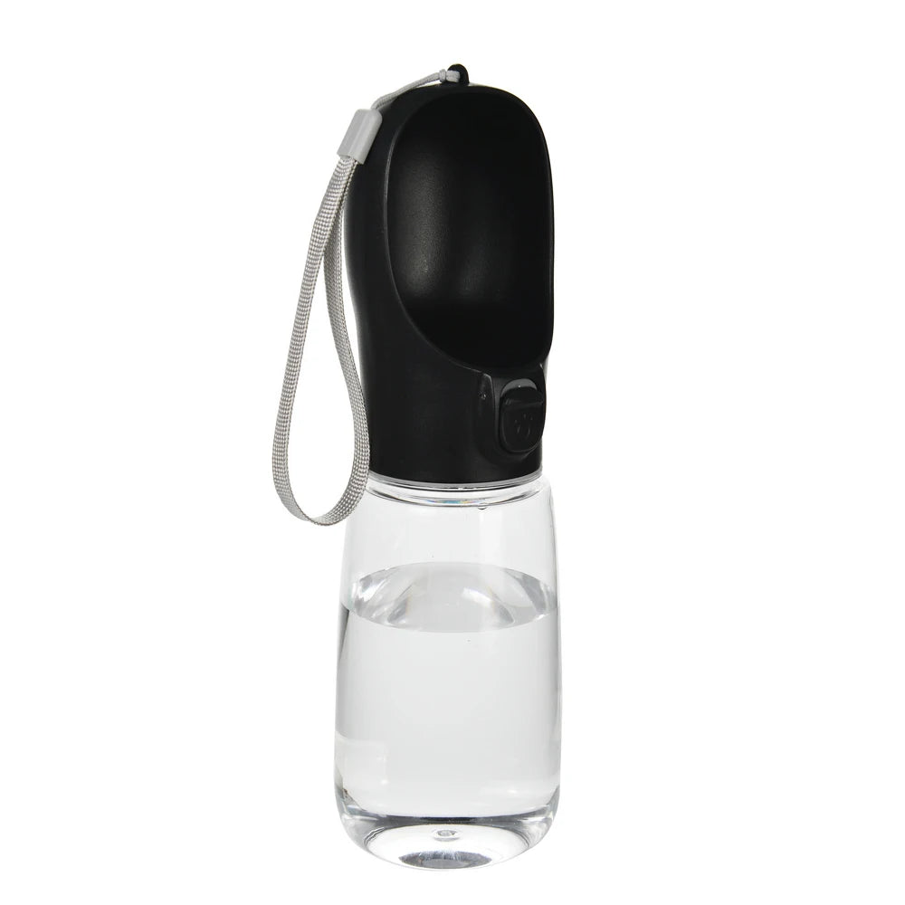 Portable Water Bottle