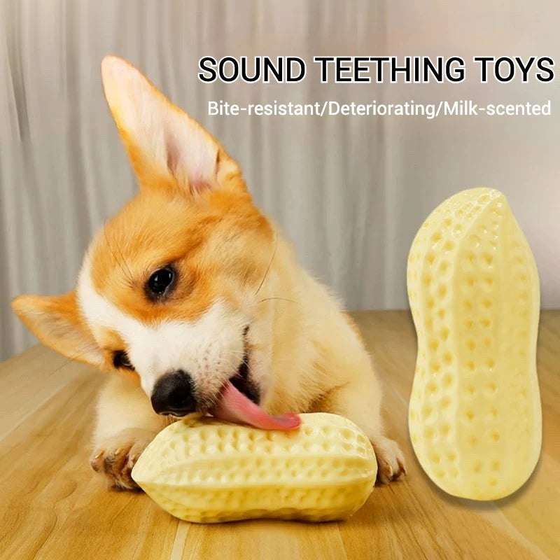 TPR Simulation Peanut Sound Toy/Teeth Grinding Pet Supplies