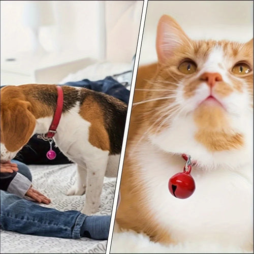 10 Pet Collar Bells,Multifunctional with Safety Buckle, Stylish and Safe