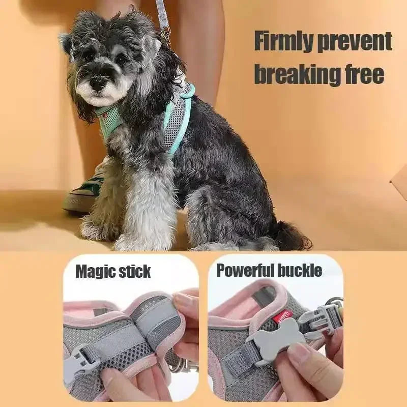 Small Dog Collar Safety Vest