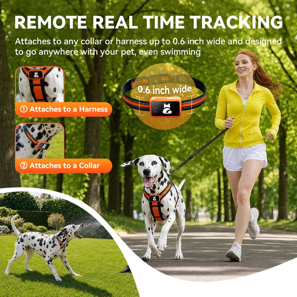 4G Pet GPS Tracker Collar Waterproof Locator with Health Monitor,Geo-Fence,Cold Resistant For iOS Android