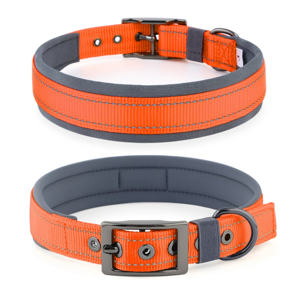 Large Dogs Collar