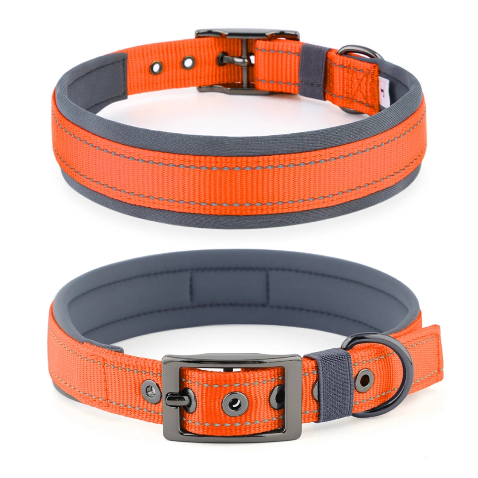 Large Dogs Collar