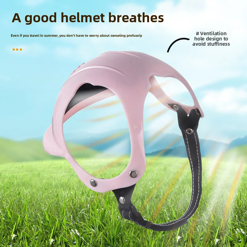 Pet Helmet
