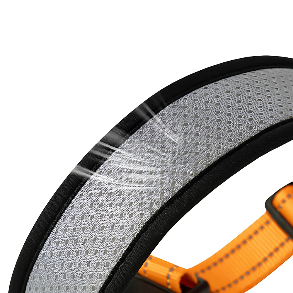 Pet Adjustable Collar