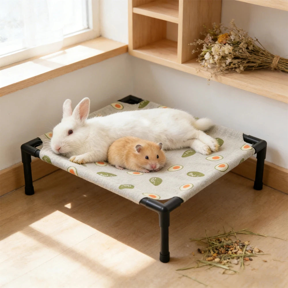 1PC Elevated Pet Bed