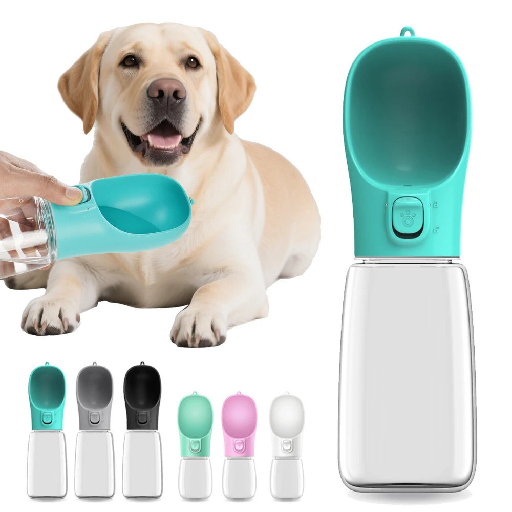 Portable Water Bottle