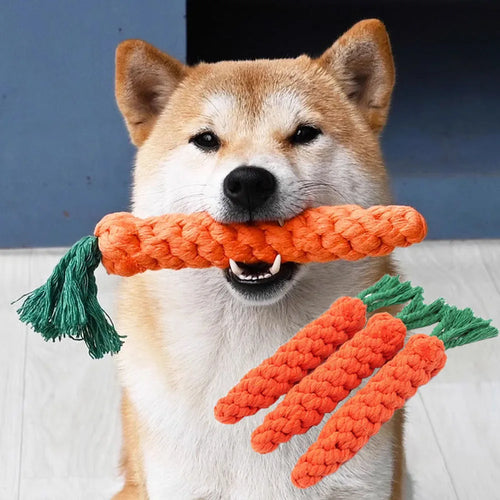 Braided Dog Toys