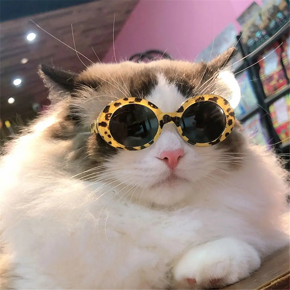 Fashioning Cat Round Glasses